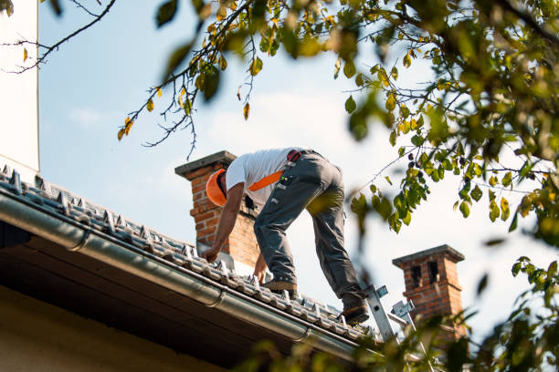 Best Local Roofing Companies  in Delevan, NY